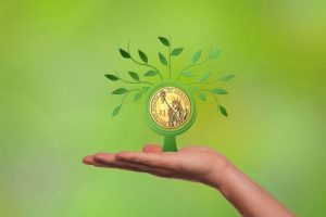 investment growth